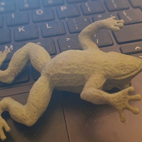 Flexible Plastic Frog Toy used, green color