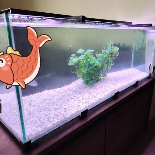 Aquarium - Glass 100 X 38 X Height 35cm (125lt)