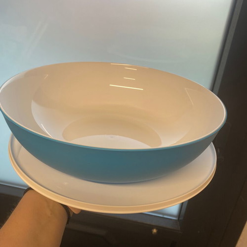 Alegra 3.5 Liter Tupperware Bowl new, colorful