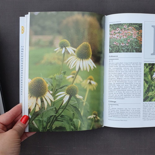 Geïllustreerde Border Planten Encyclopedie gardening book by Hanneke van Dijk