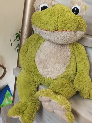 Plush frog like new