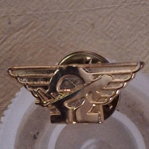 Omega Schools Promotional Pin 1970s, like new