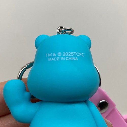 Care Bears Wish Bear pvc keychain new