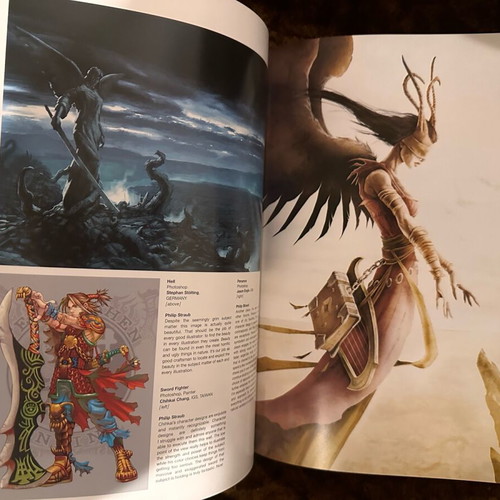 D’artiste Digital Painting art book like new