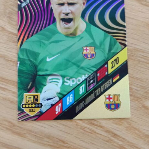 Ter Steggen Top Keeper XL Andrenalyn Panini 2024 FIFA 365 card new