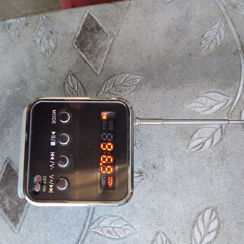 Miniature speaker and FM radio with rechargeable battery