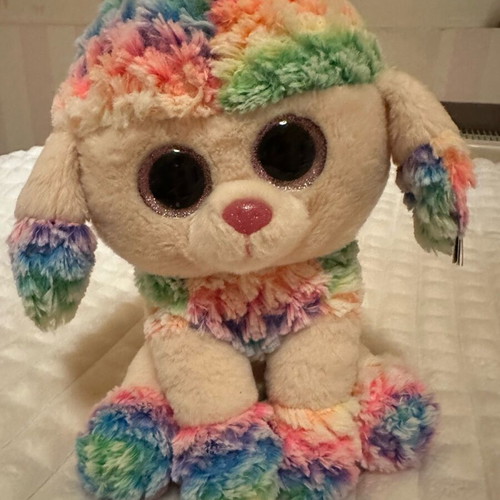 Ty Rainbow Large Dog Like New with Pocket on Back
