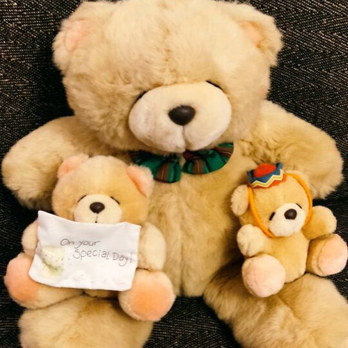 Forever Friends 3 plush bears like new Andrew Brownsword