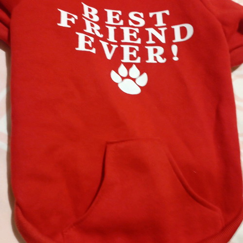 Pet hoodie sweatshirt in red, like new
