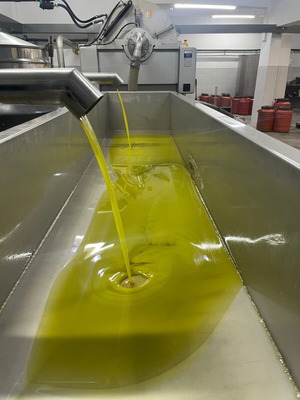 Extra virgin olive oil from Ileia new, 5 and 17 liters