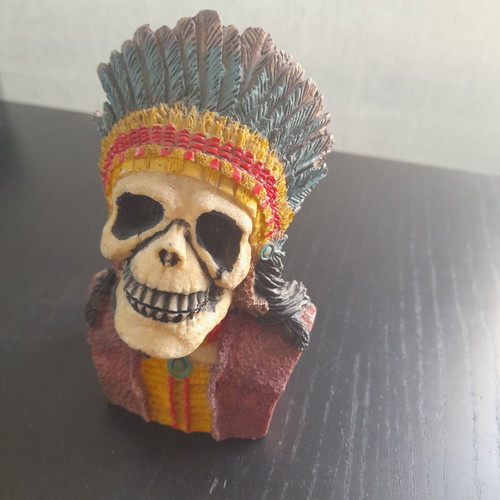 Skull in excellent condition, height 13cm