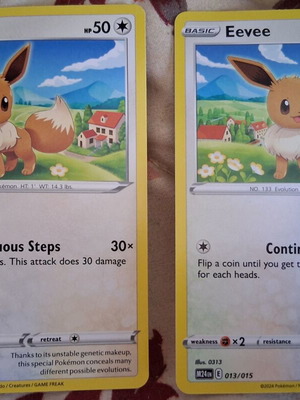 Pokemon Eevee Cards new, set of 2