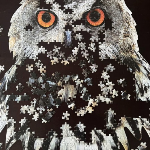 I am owl puzzle used, owl-shaped with 550 pieces