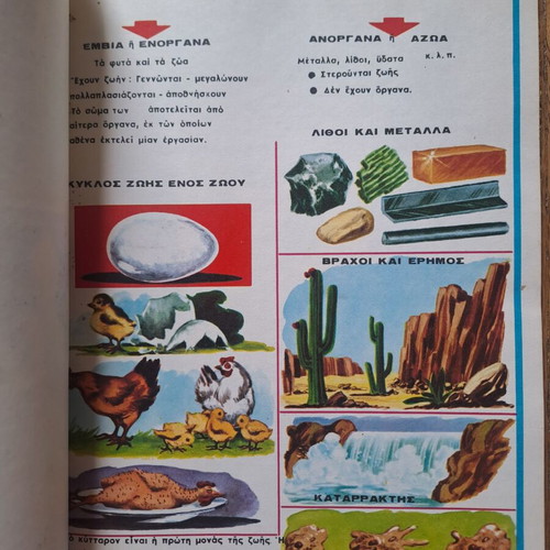 Vintage Zoology and Natural History Notebooks like new, set of 2