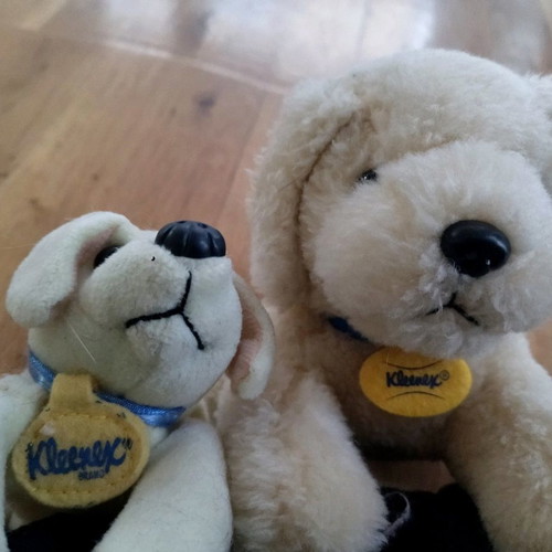 Klinex rare dog plush toys used, gift from bleach brand