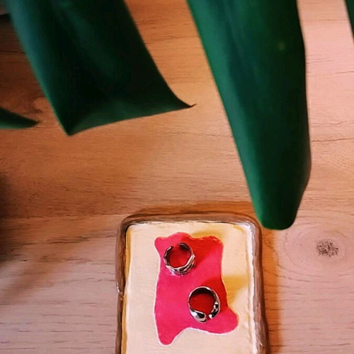 Clay dish shaped like toast new