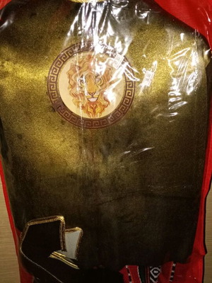 Achilles carnival costume like new for boys 8-10 years