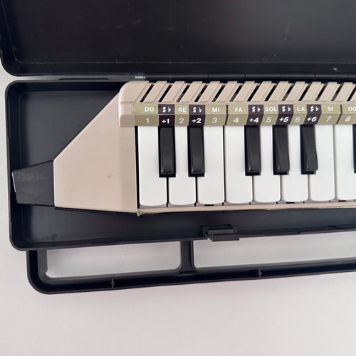 Bontempi Classic Melodica used with original carrying case