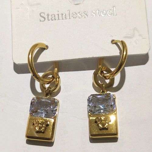 Steel earrings new, modern style stainless steel