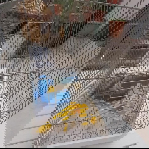 Κλουβί διπλό για καναρίνια σαν καινούργιο με φωλιά και ποτίστρες