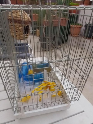 Κλουβί διπλό για καναρίνια σαν καινούργιο με φωλιά και ποτίστρες