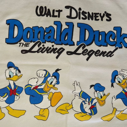 Donald Duck Disney T-shirt Zara Kids size 116cm 6 years like new