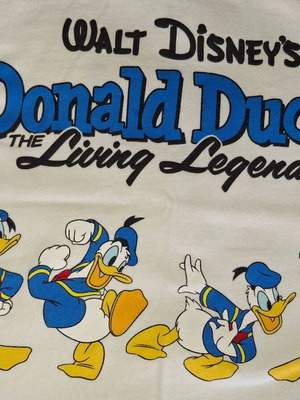 Donald Duck Disney T-shirt Zara Kids size 116cm 6 years like new