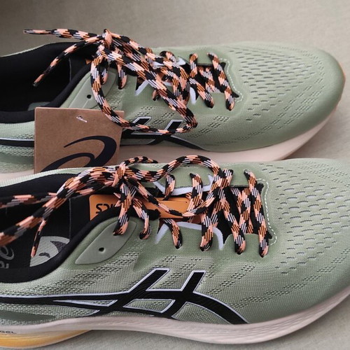 Asics GT-2000 12 TR running shoes new, Nature Bathing Series, size 46