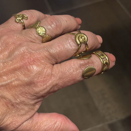 Set of 6 gold-tone stainless steel rings with sea shell designs