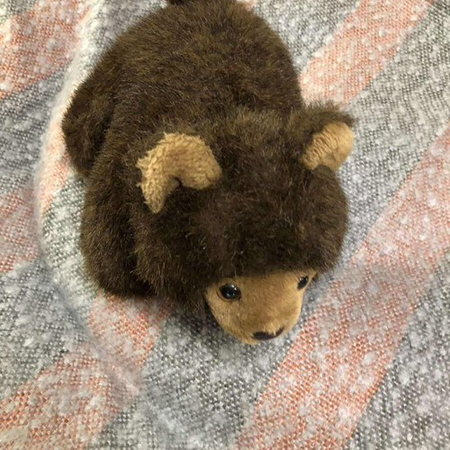 Plush teddy bear toy used, sound not working