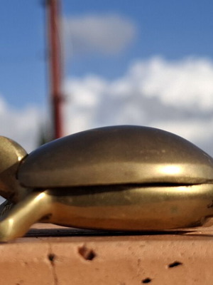 Vintage brass turtle used