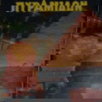 Η ΜΥΣΤΙΚΗ ΔΥΝΑΜΗ ΤΩΝ ΠΥΡΑΜΙΔΩΝ SCHUL BILL, PETTIT ED