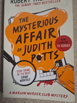 The Mysterious Affair of Judith Potts book used, English mystery