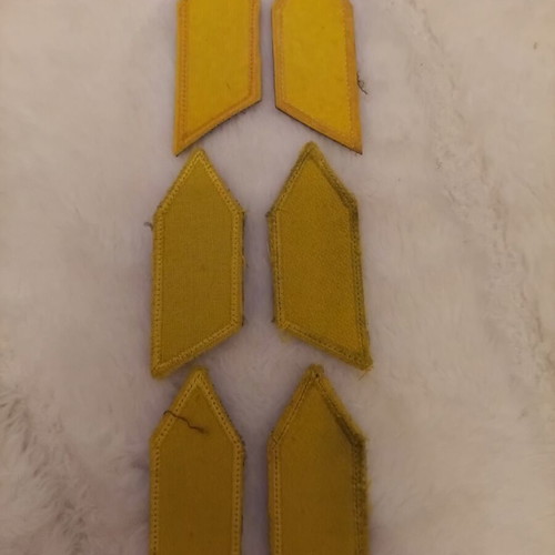 SSE Collar Insignia patches