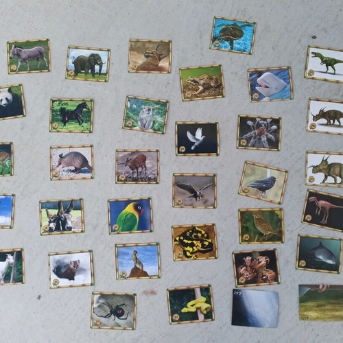 The Jungle Animal Stickers like new