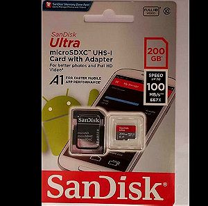 Κάρτα SanDisk 200GB Class 10