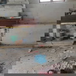 διπλοκατοικία σε 8,3 στρέμματα με ελιές και αμυγδαλιές περιοχή σταροχώρι Αχαΐας