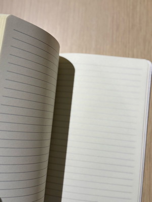 Notebook Bluestar Ferries new