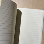 Notebook Bluestar Ferries new