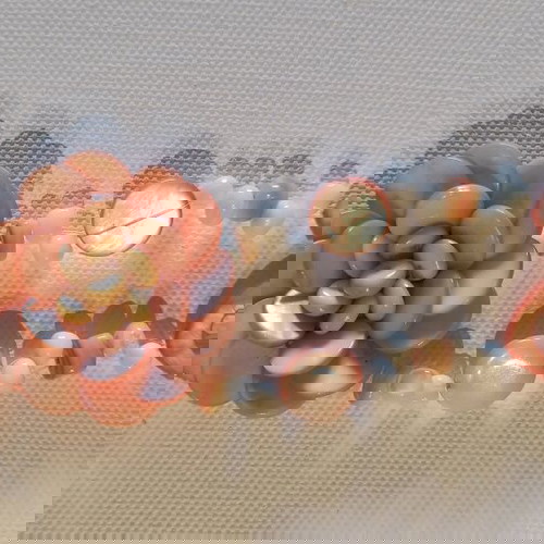 Κολιέ σαν καινούργιο με ροζ χάντρες από σεντέφι και γυάλινες