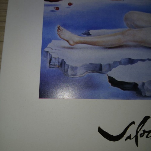 Salvador Dali Dream Caused by the Flight of a Bee 1992 print