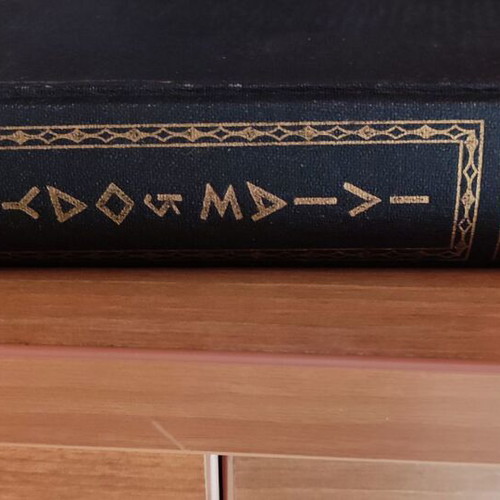 Homer's Odyssey Volume 1 like new, emmetrical translation by Iakovos Polylas