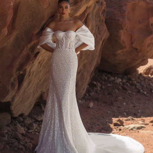 Giovanna Alessandro wedding dress, Large, white, detachable sleeves and train