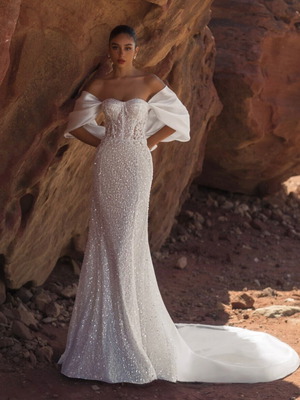 Giovanna Alessandro wedding dress, Large, white, detachable sleeves and train