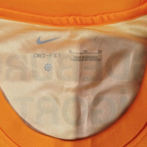 Nike Dry Fit Galatasaray T-Shirt Season 2021-2022 Like New