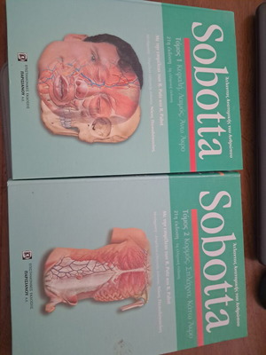 Sobotta Atlas of Human Anatomy Volumes A & B like new, Greek