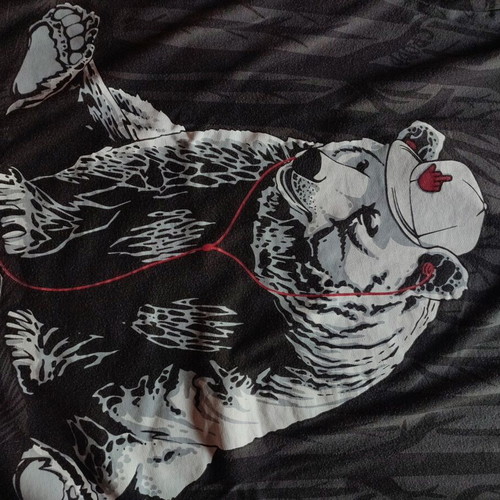 Cropp Bear with Headphones graphic T-shirt, black and grey