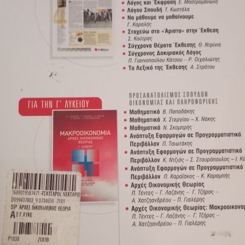 Principles of Economic Theory Grade C Lyceum textbook like new
