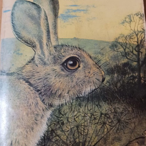 Watership Down του Richard Adams σαν καινούργιο, στα Αγγλικά