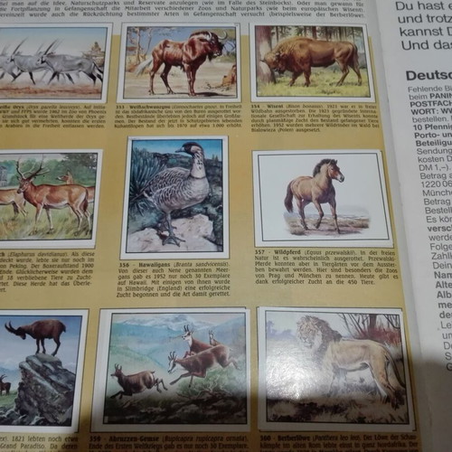 Panini WWF 1986 album used, German edition